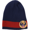 Fantastic Beasts and Where to Find Them - MACUSA Slouch Beanie