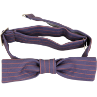 Fantastic Beasts and Where to Find Them - Newt Scamander's Bow Tie
