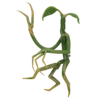 Fantastic Beasts and Where to Find Them - Pickett Bowtruckle Pin and Necklace