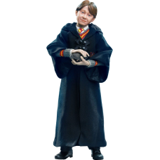 Harry Potter - Ron Weasley Halloween Version 1/6th Scale Action Figure