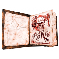 Evil Dead 2 - Necronomicon Printed Pages Prop