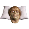 Dawn of the Dead - Roger Pillow Pal