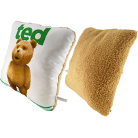 Ted - 14 Inch Talking Pillow (R-Rated Version)