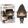 Harry Potter - Hermione Granger with Sorting Hat Pop! Vinyl Figure (2018 Fall Convention Exclusive)