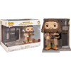Harry Potter - Hagrid with The Leaky Cauldron Diagon Alley Diorama Deluxe Pop! Vinyl Figure