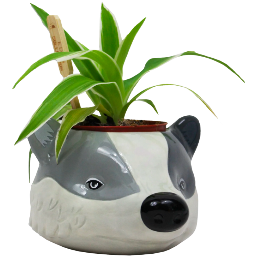 Harry Potter - Hufflepuff Badger Mascot Plant Pot