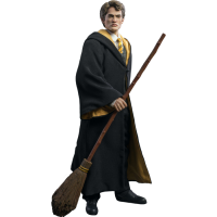 Harry Potter - Cedric Diggory Deluxe 1/6Th Scale Action Figure