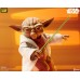 Star Wars: The Clone Wars - Yoda 1/6th Scale Action Figure