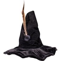 Harry Potter - Professor McGonagall Hat