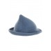 Harry Potter - Fleur Delacour Hat Replica
