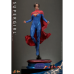 The Flash - Supergirl 1/6th Scale Hot Toys Action Figure
