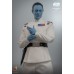 Star Wars: Ahsoka - Grand Admiral Thrawn 1/6th Scale Hot Toys Action Figure