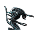 Aliens - Blue Alien Warrior Water Attack 1/6th Scale Diorama Statue