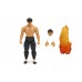 Street Fighter - Fei Long 6 Inch Action Figure