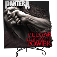 Pantera - Vulgar Display of Power Album Art 3D Vinyl 12 inch Statue