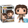 The Lord of the Rings - Frodo with Weight of the Ring Pop! Vinyl Figure (2023 Summer Convention Exclusive)