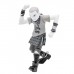 Circle Jerks - Skank Man (Grayscale) ReAction 3.75 inch Action Figure