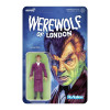 Werewolf of London (1935) - Dr. Wilfred Glendon ReAction 3.75 inch Action Figure