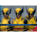 Deadpool & Wolverine (2024) - Wolverine 1/6th Scale Hot Toys Action Figure