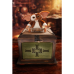 Gremlins - Gizmo with Mogwai Box Scaled Replica