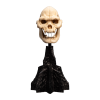 The Lord of the Rings - Skull of Lurtz Miniature Skull